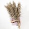 9 Stems Pampas Grass Decor Tall 48''/4 FT, Long Fluffy Dried Pompas Grass, Large Pampas Grass for Floor Vase, Rustic Wedding, Baby Shower, Party, Farmhouse, Boho Home Decor